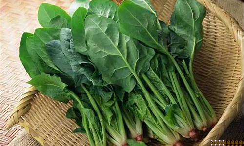 什么是线上菠菜直营？